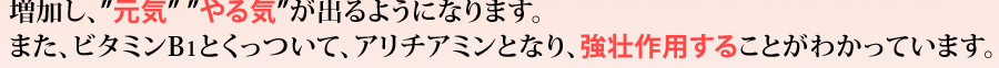 増加し 元気  やる気が出る ビタミン B1 アリチアミン 強壮作用