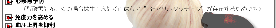 動脈硬化改善 心疾患予防
　（酵酸黒にんに S-アリルシツティンが存在